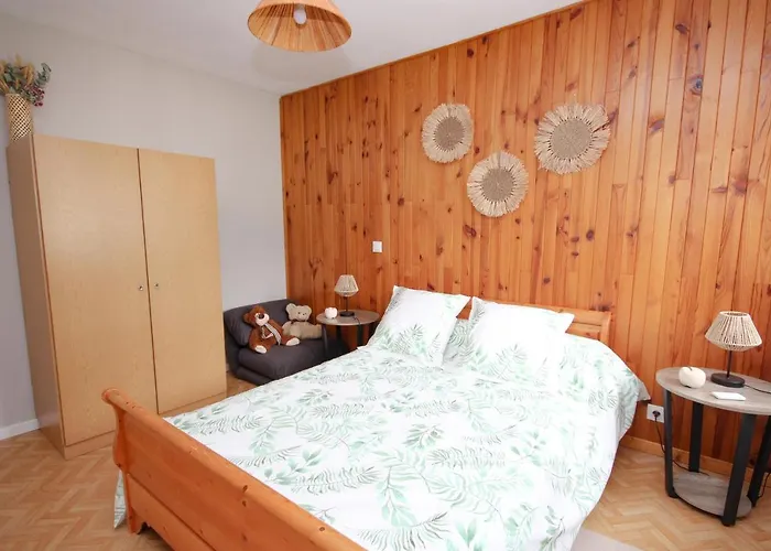 Coquet Appartement Type 2 De 56 M² En Centre Ville